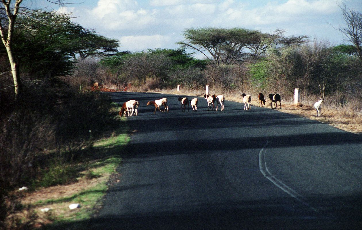 Nairobi To Moshi